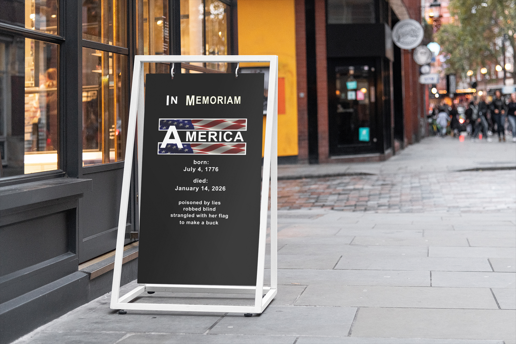 In Memoriam-American Democracy 1776 to 2026 Vertical Protest Banner displayed on a sidewalk.
